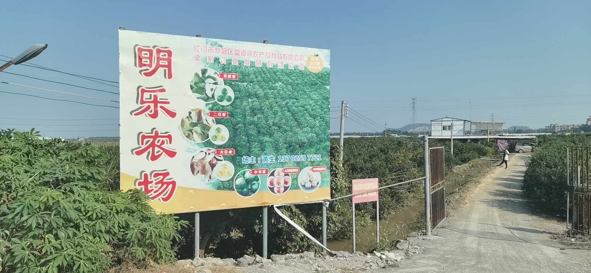 主体照片 1