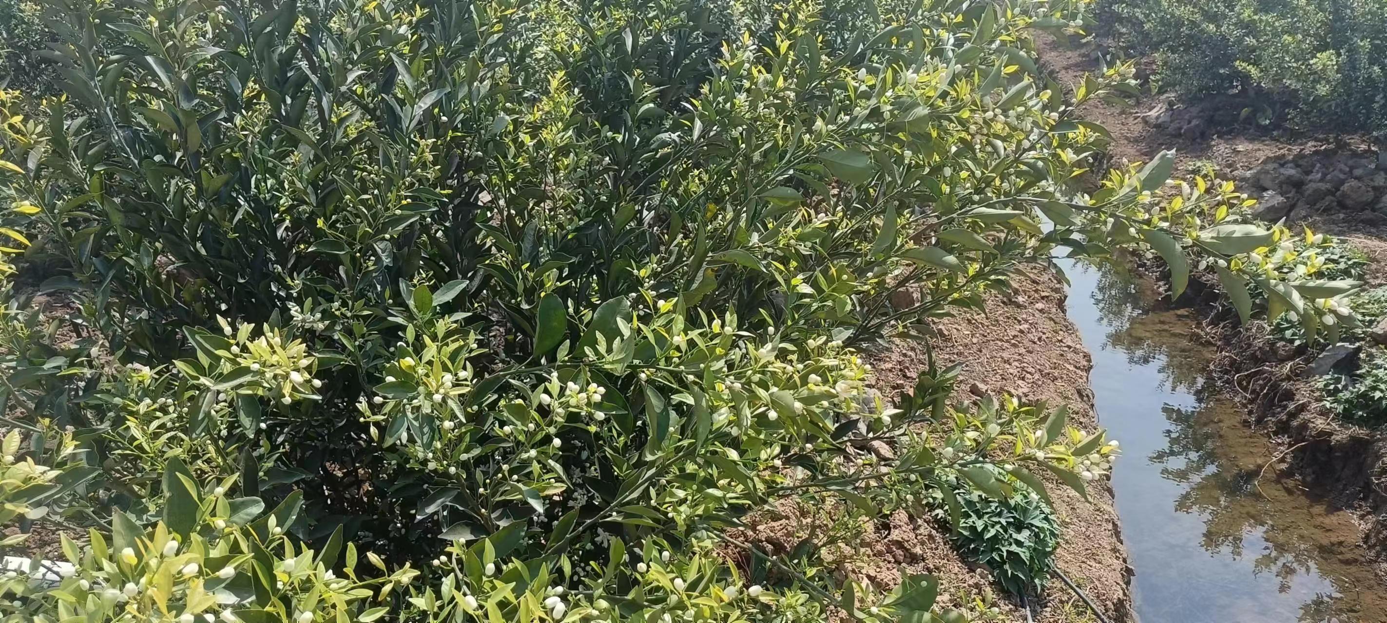 主体照片 6