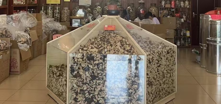 主体照片 3