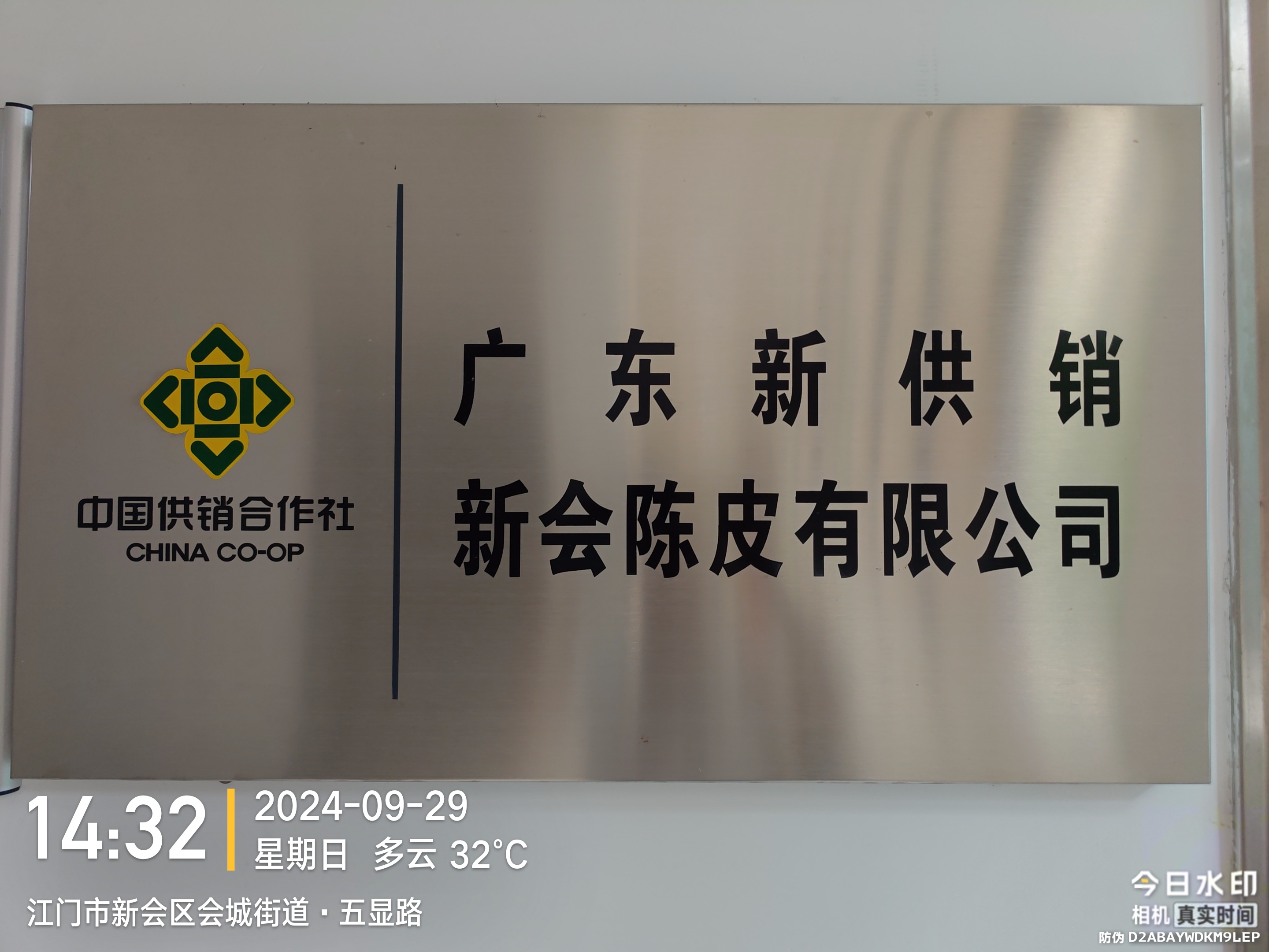 主体照片 1