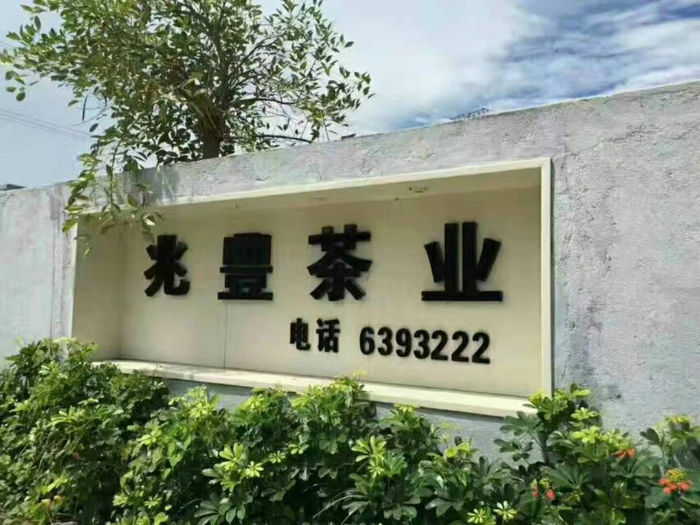 主体照片 2