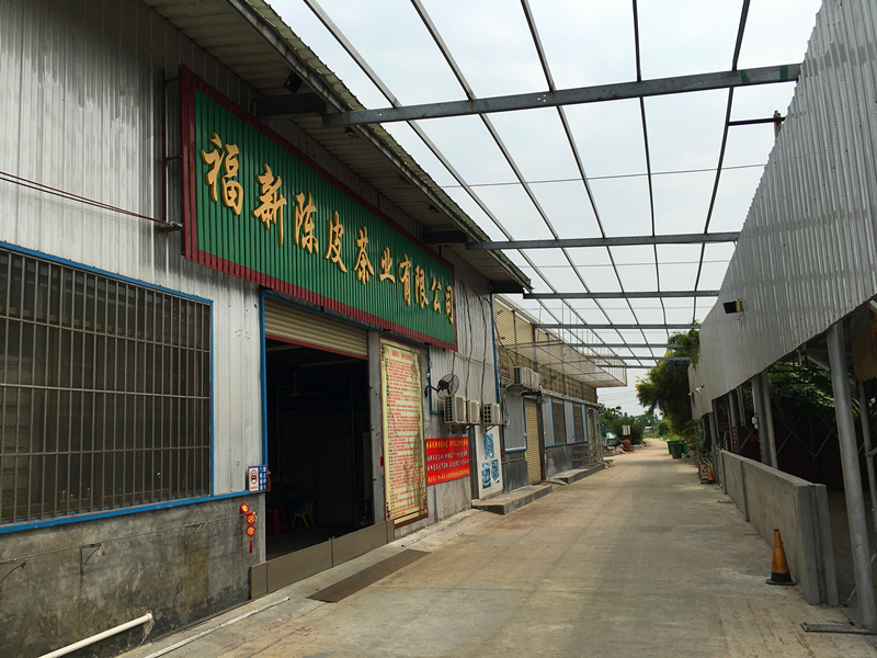 主体照片 2