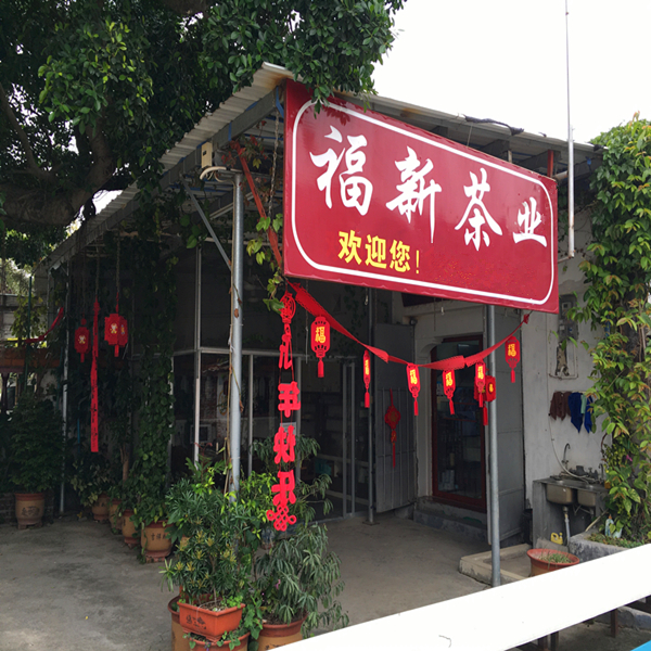 主体照片 4