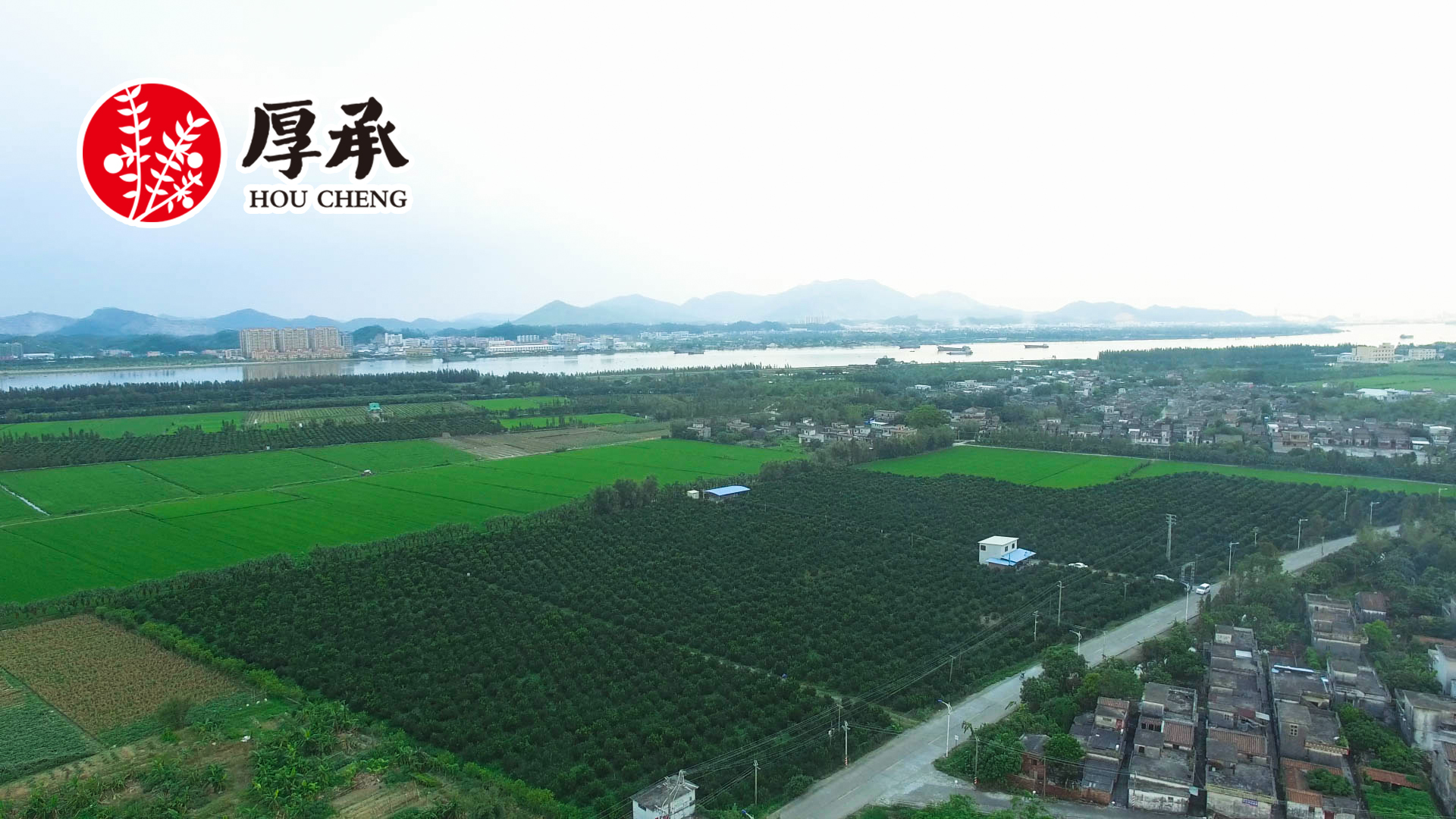 主体照片 2