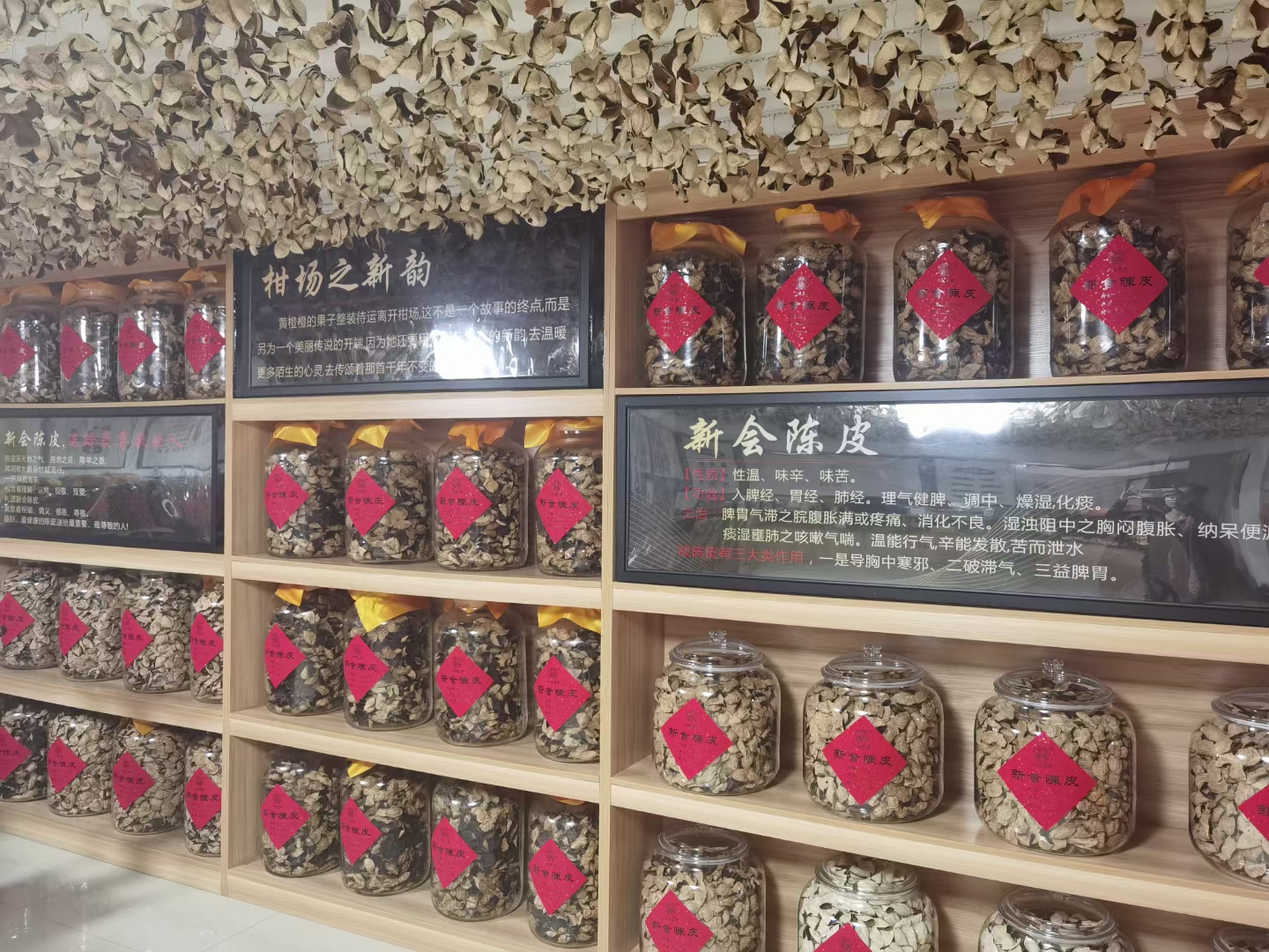 主体照片 2