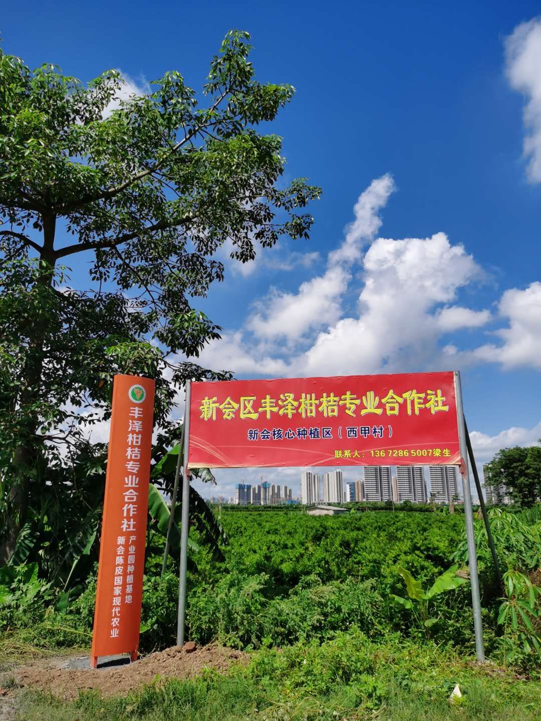主体照片 1