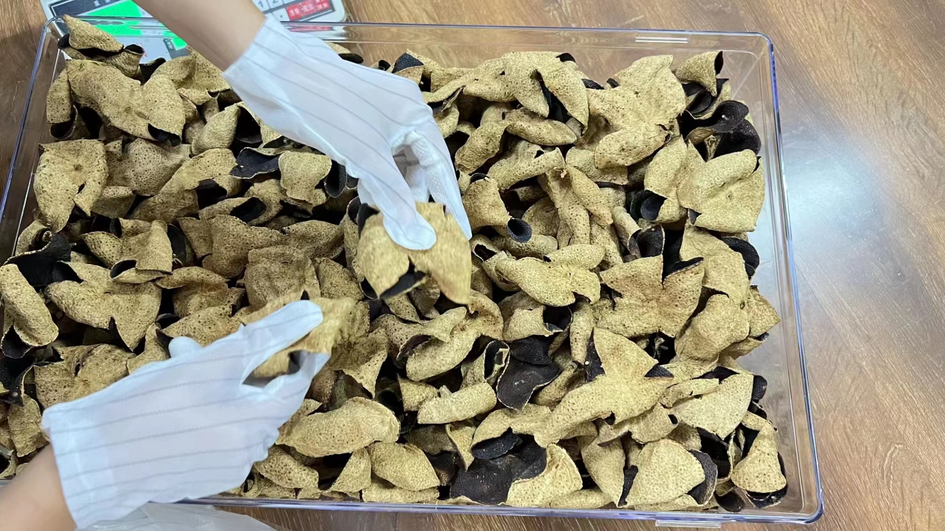 主体照片 4