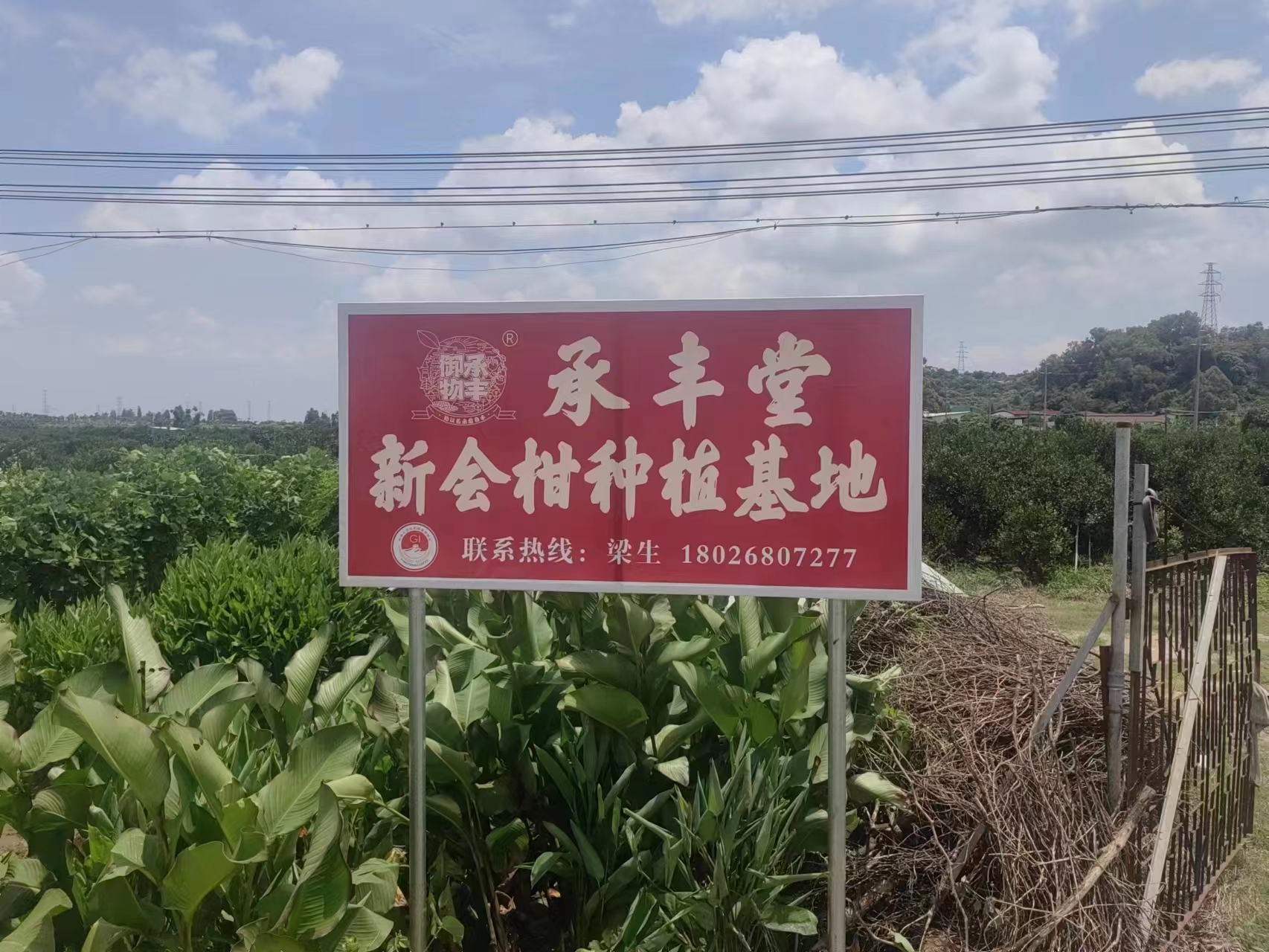 主体照片 4