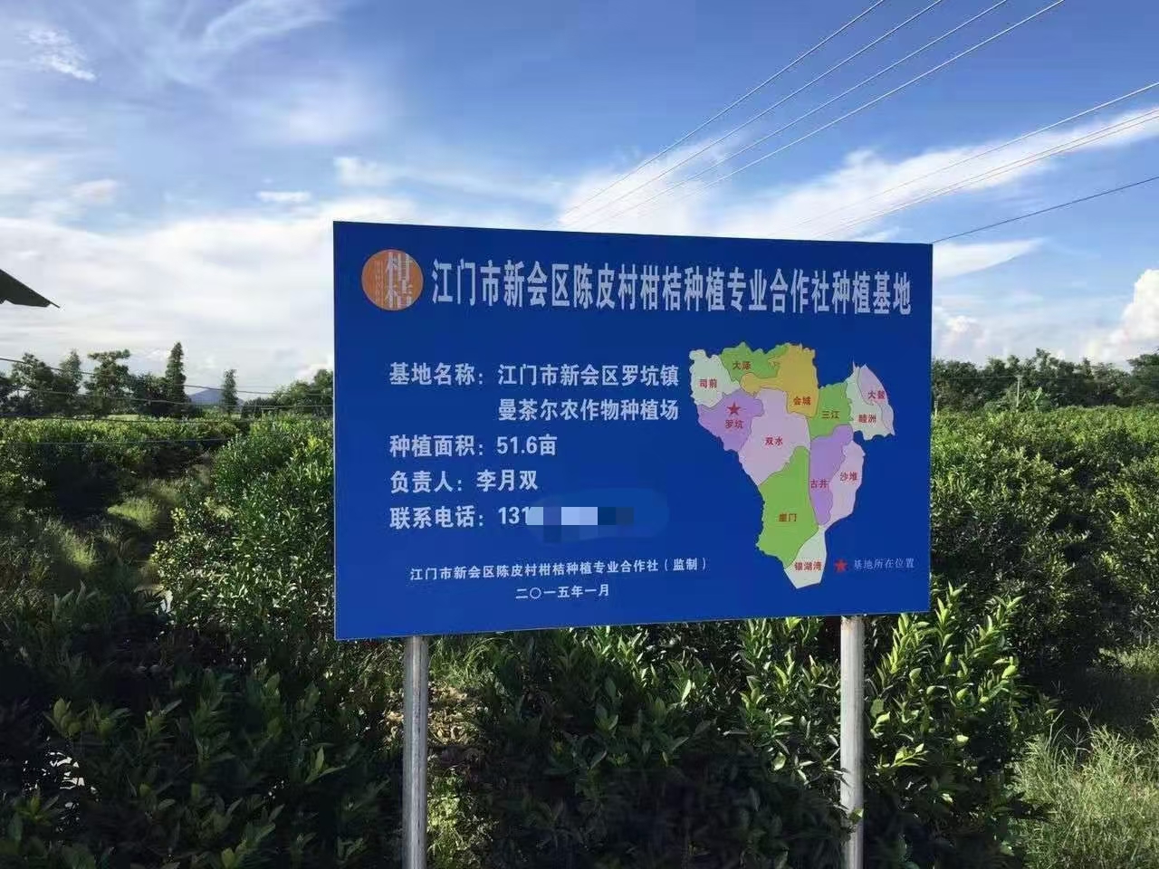 主体照片 3