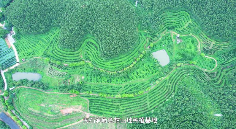 主体照片 1