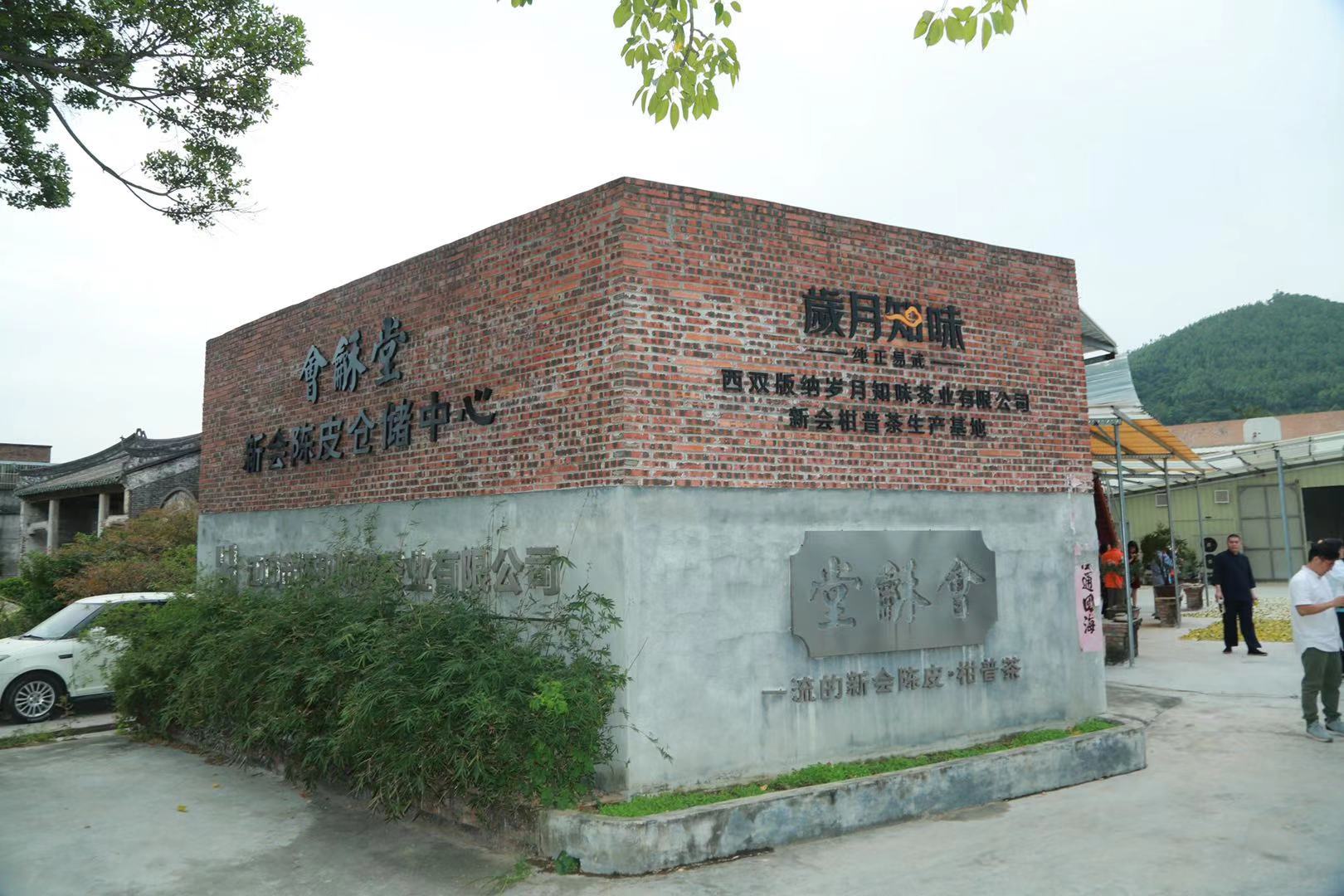 主体照片 4