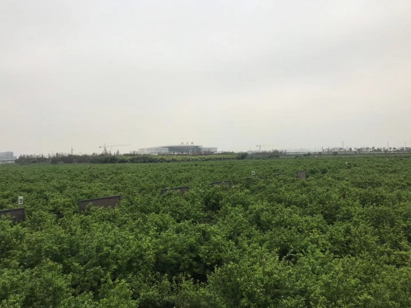 主体照片 2
