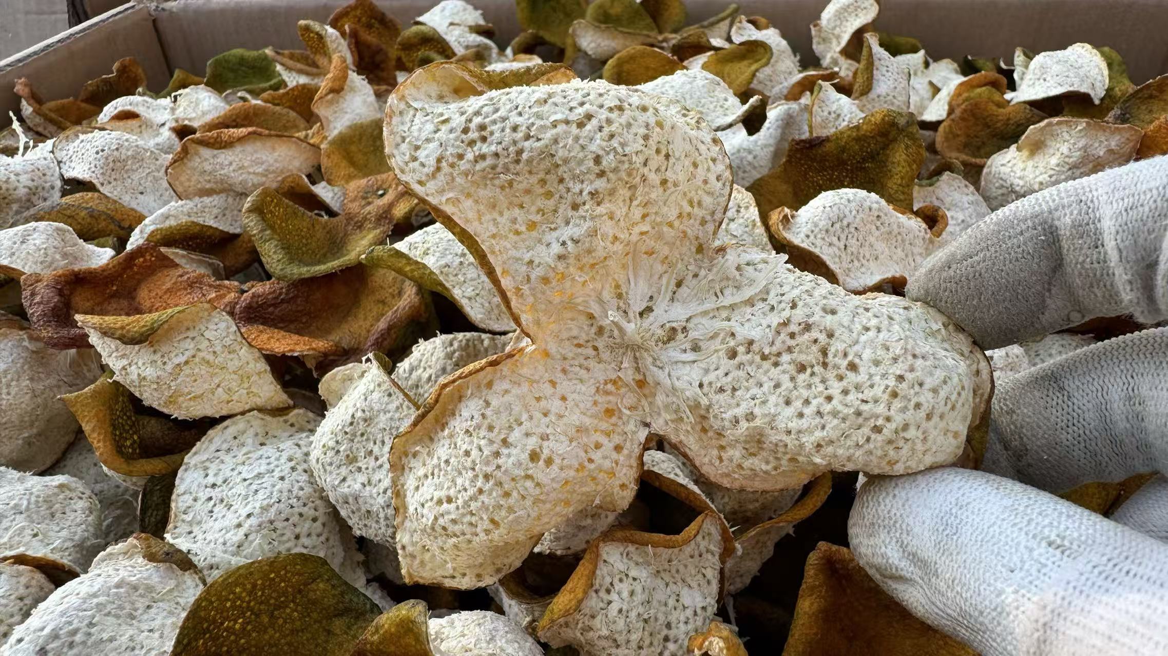 主体照片 2