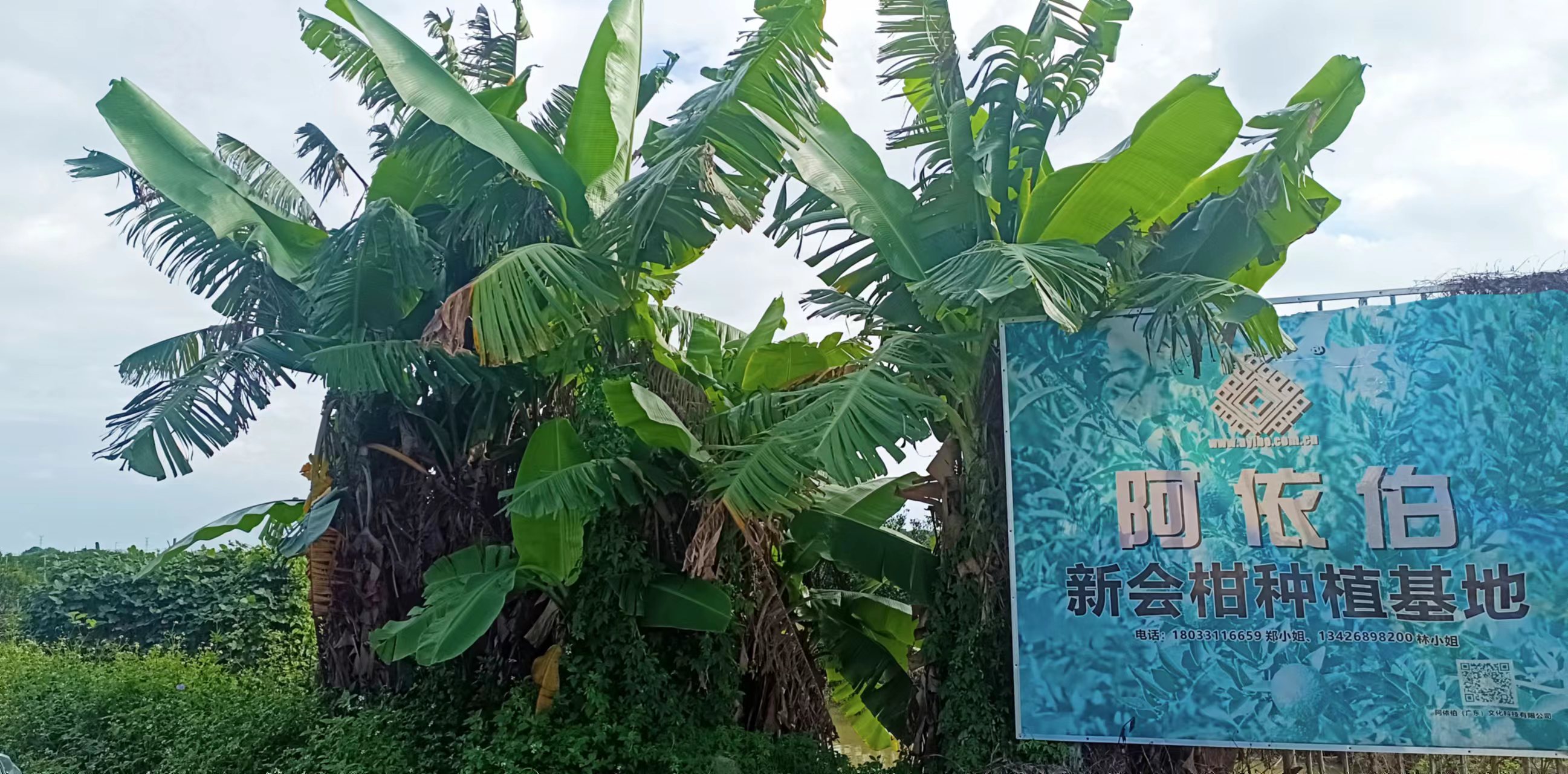 主体照片 6