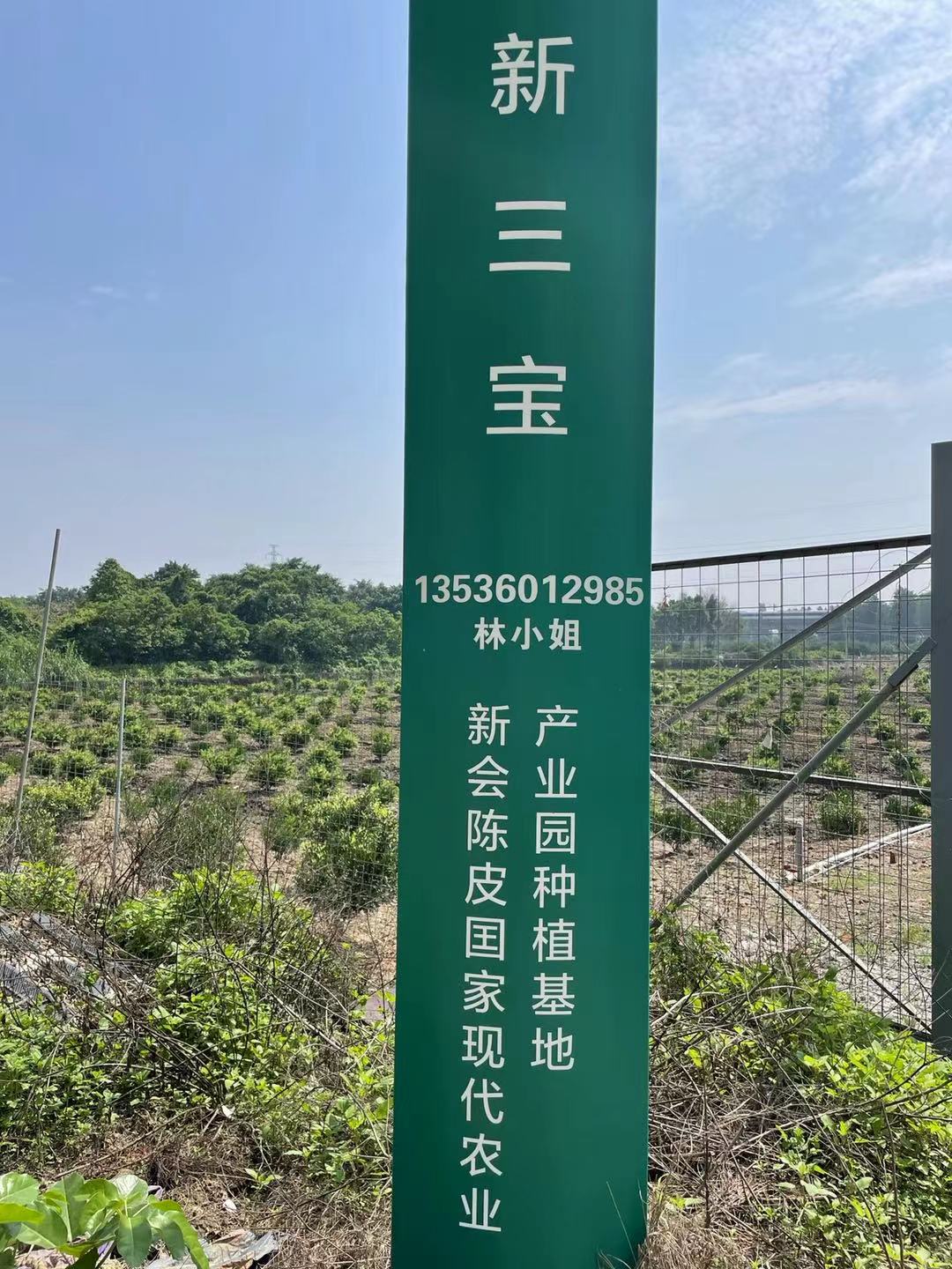 主体照片 3