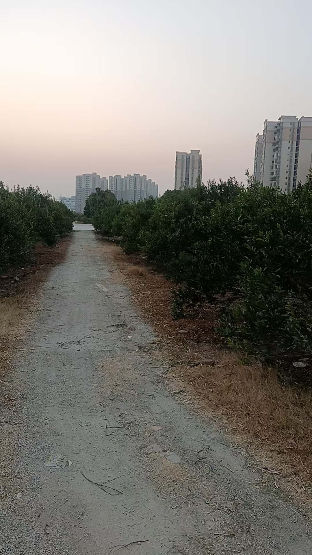主体照片 4