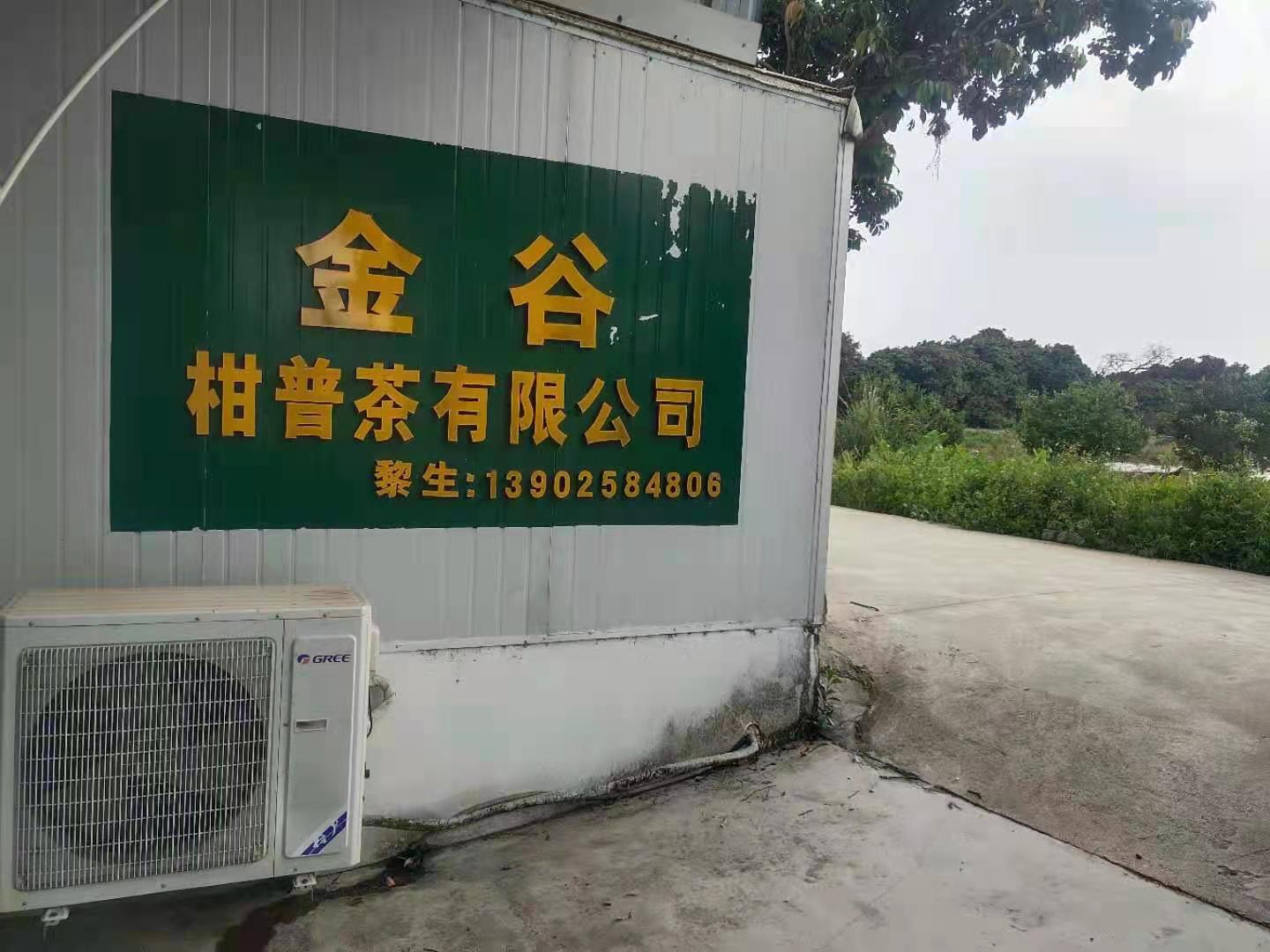 主体照片 1