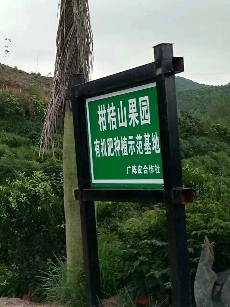 主体照片 2
