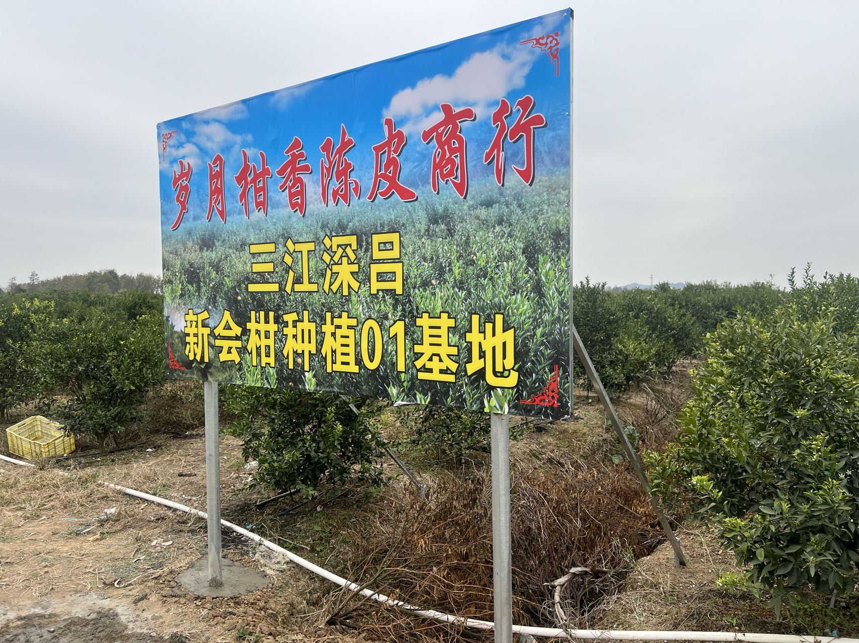主体照片 3