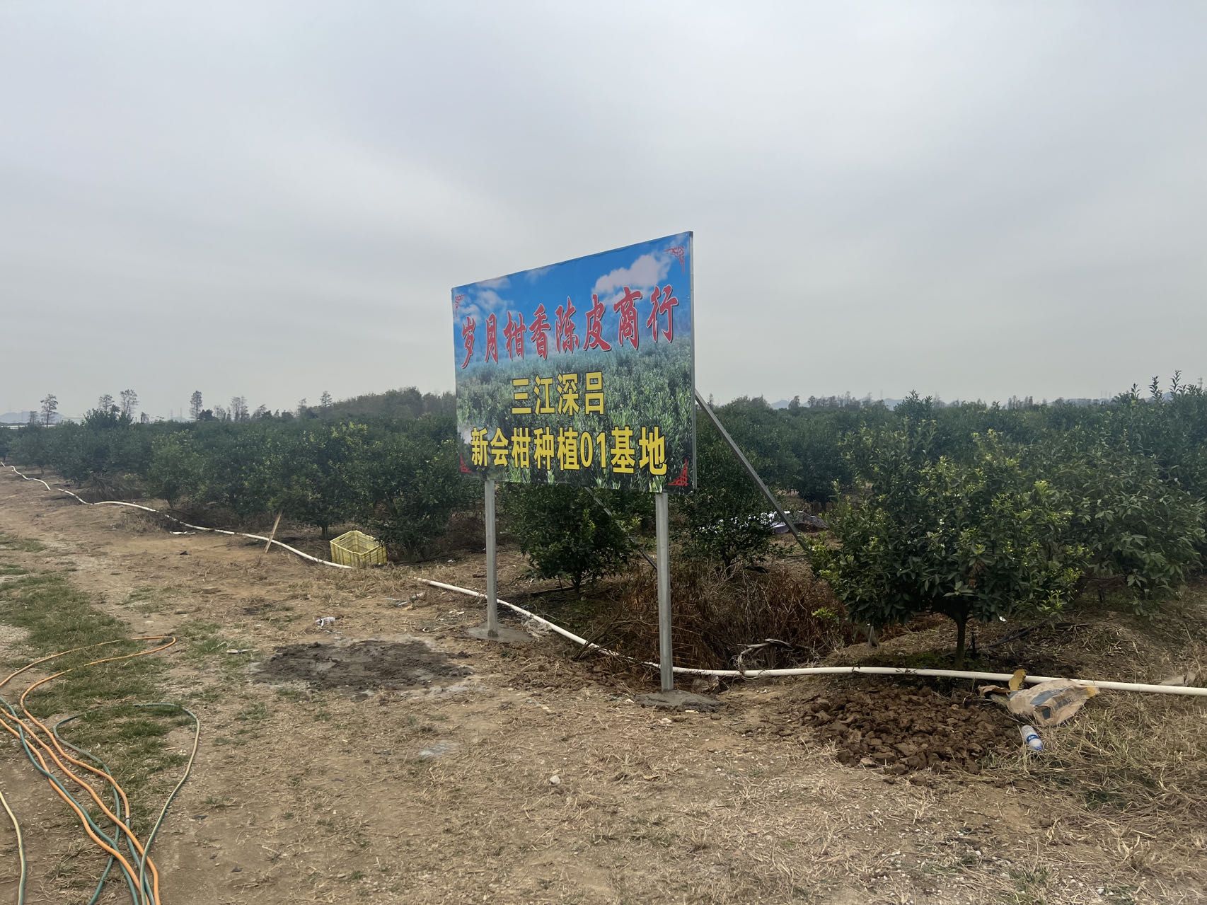 主体照片 4
