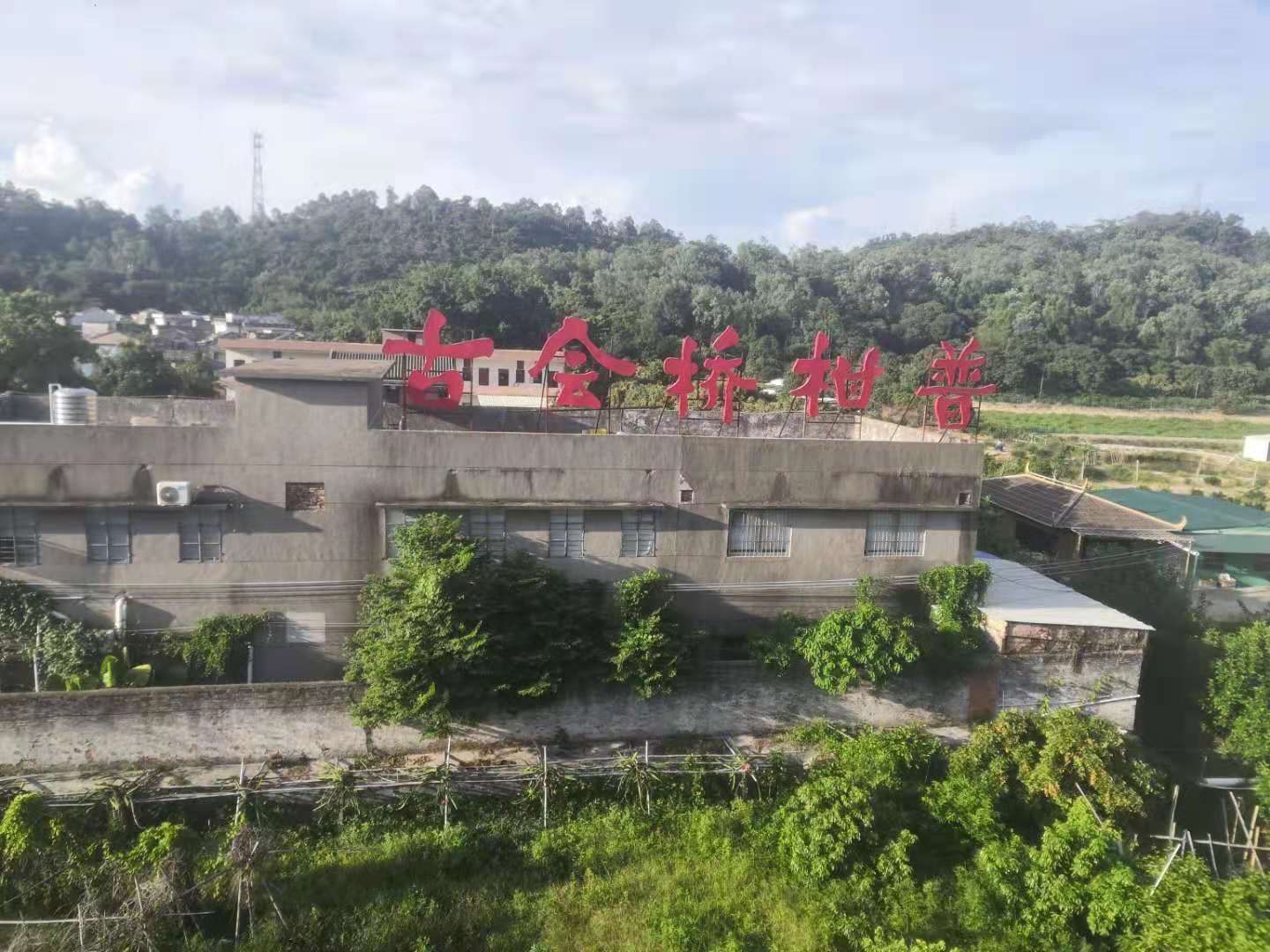 主体照片 3