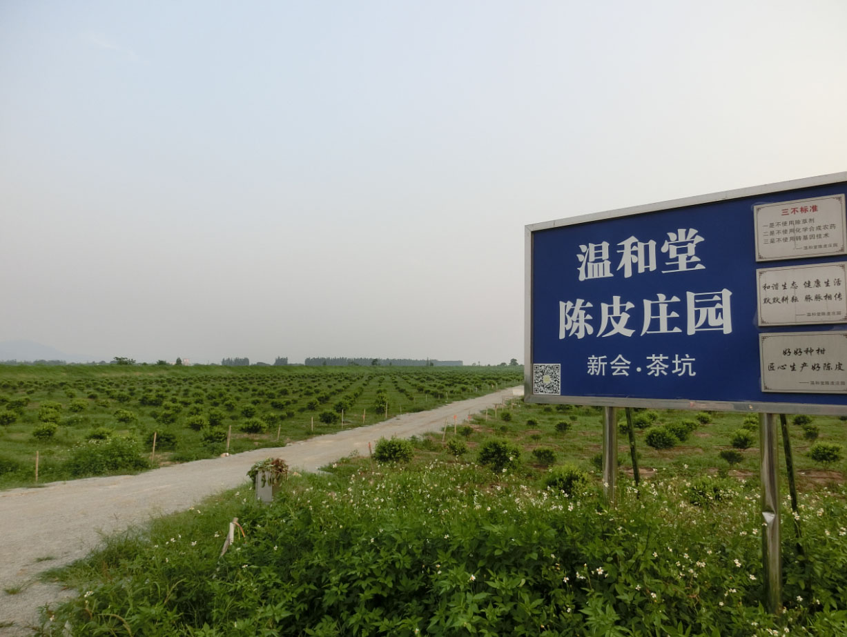 主体照片 1