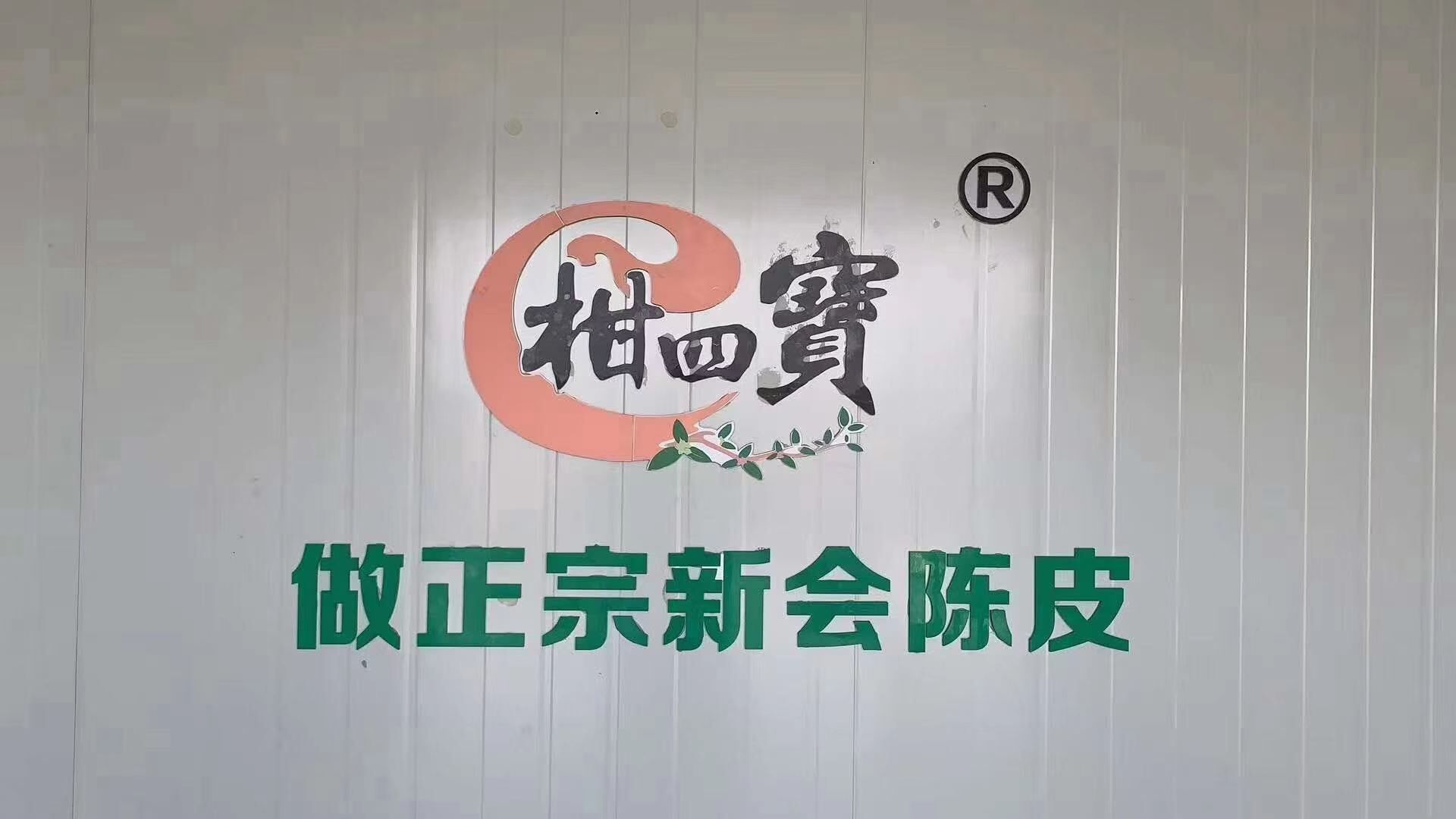 主体照片 4