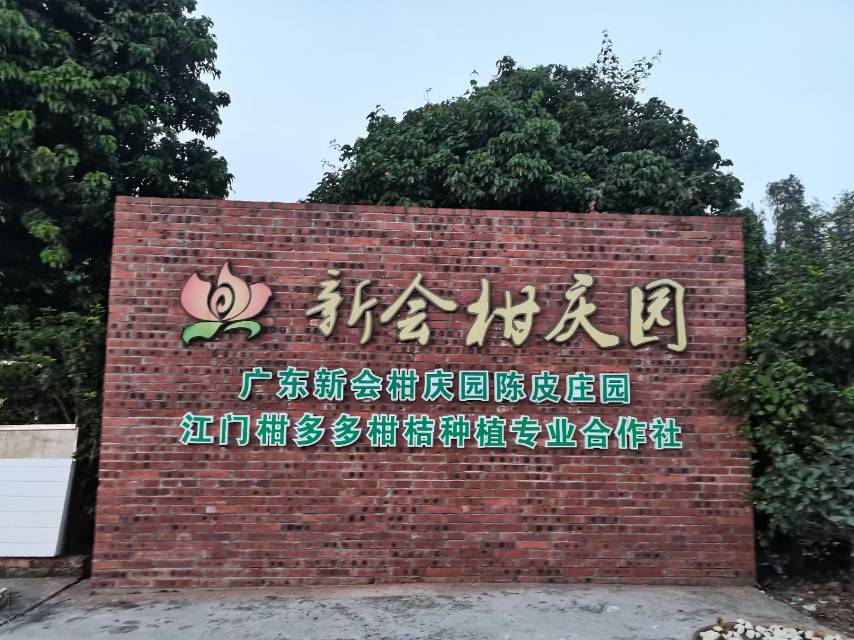 主体照片 7