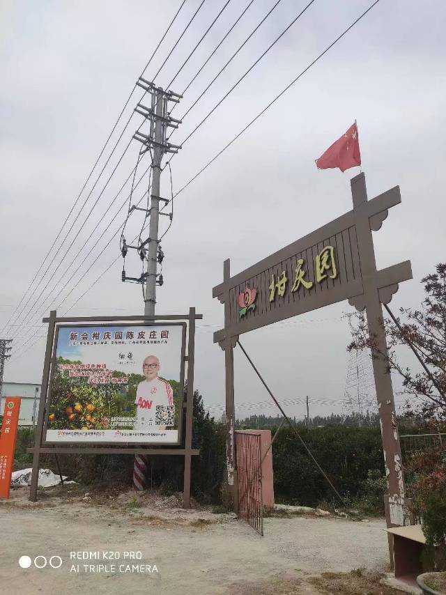 主体照片 8