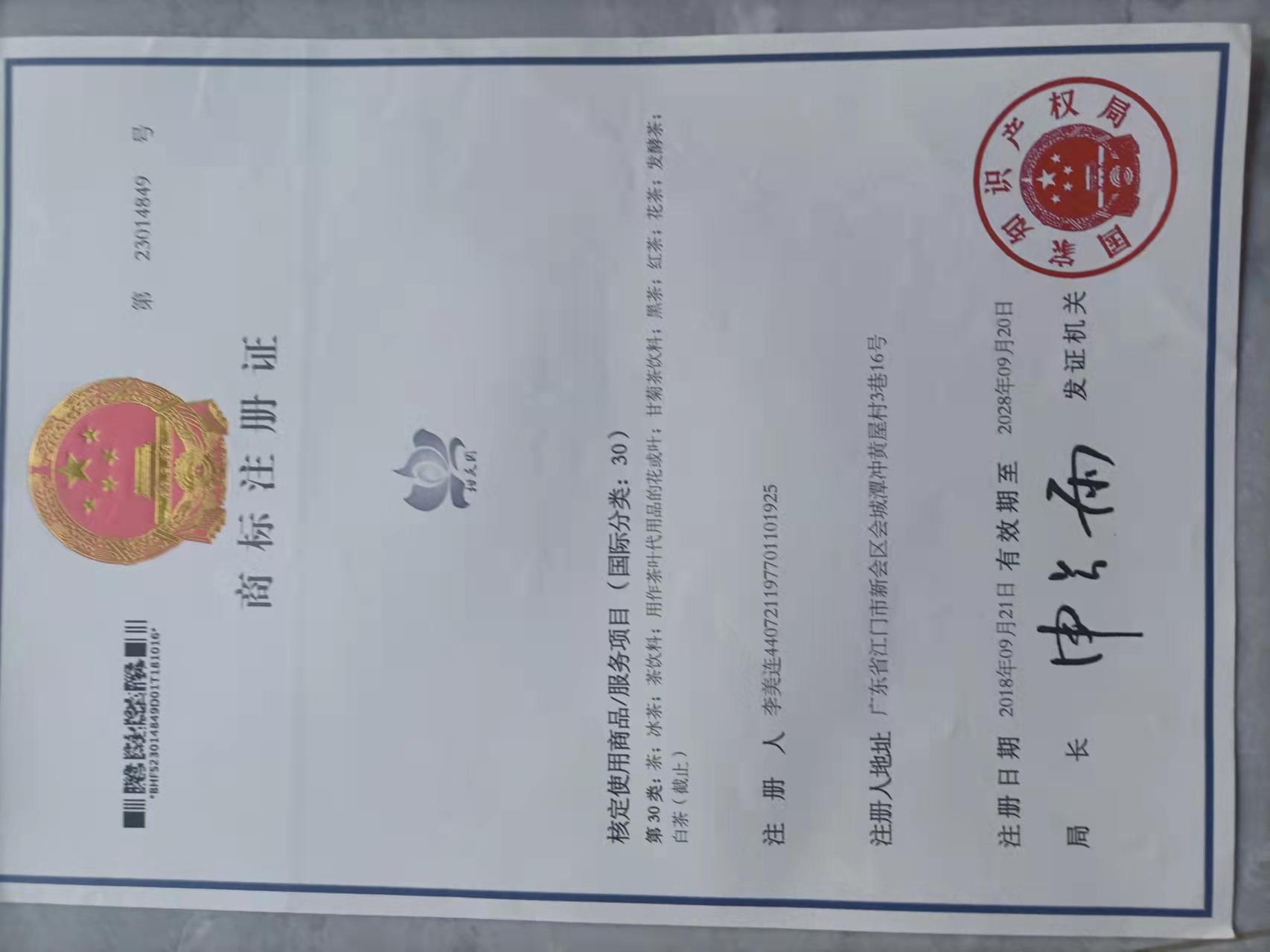 主体照片 4