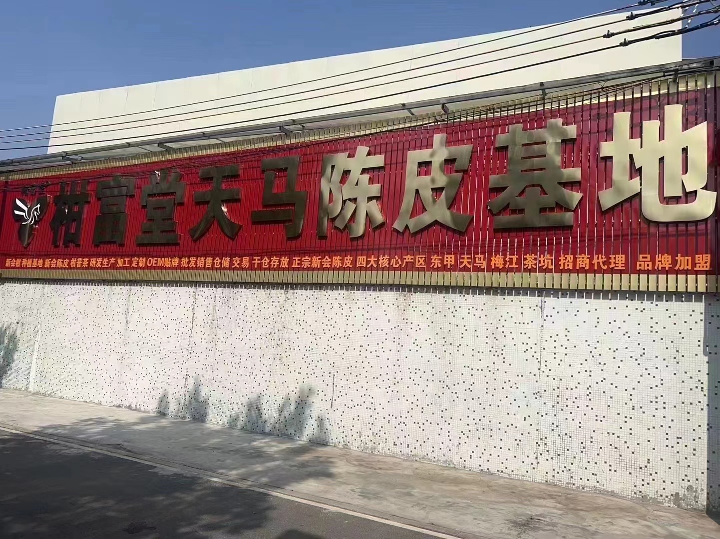 主体照片 1