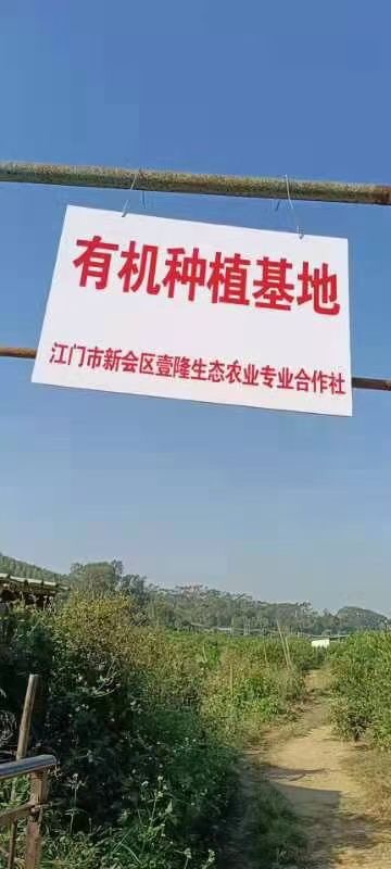 主体照片 3