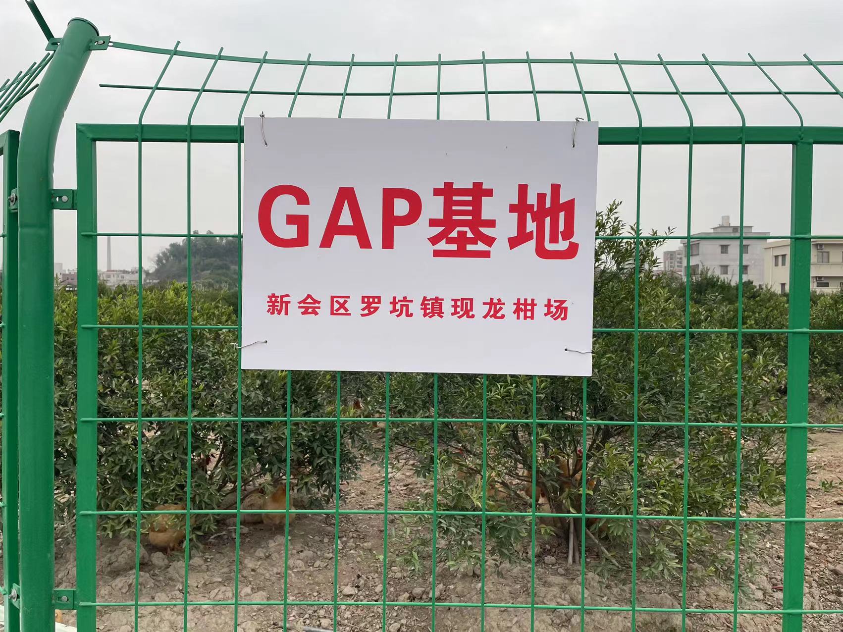 主体照片 2