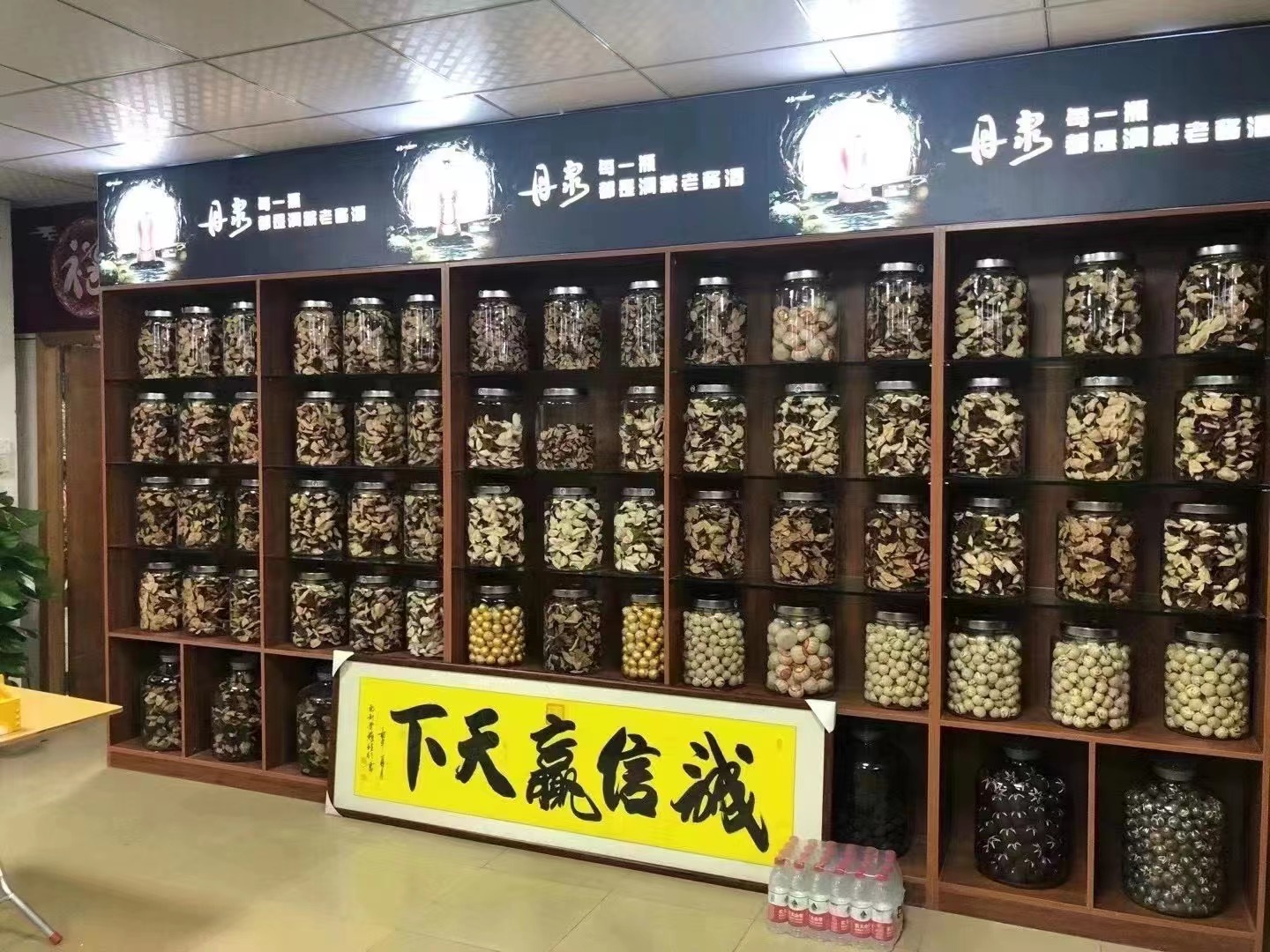 主体照片 2