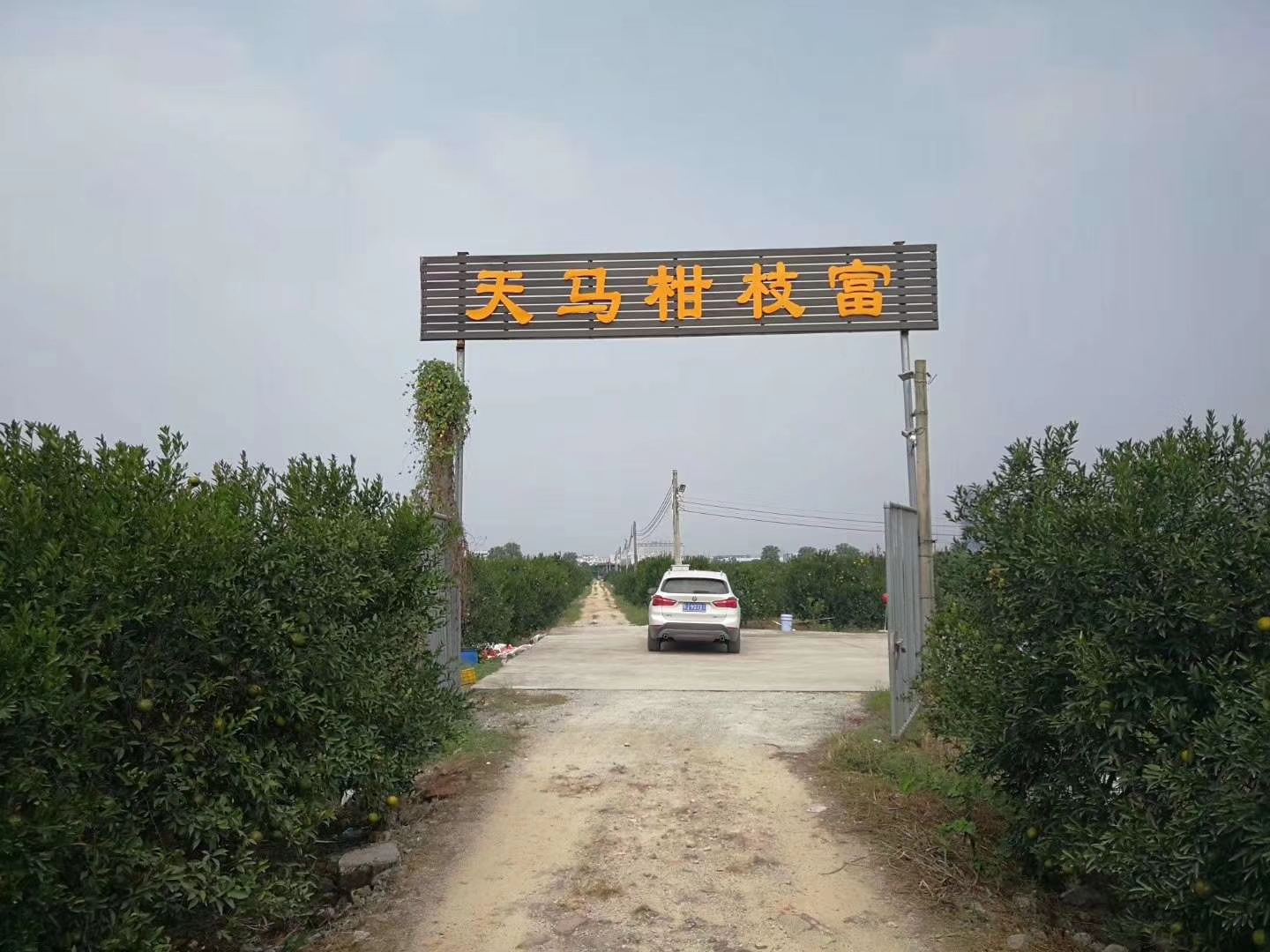 主体照片 6