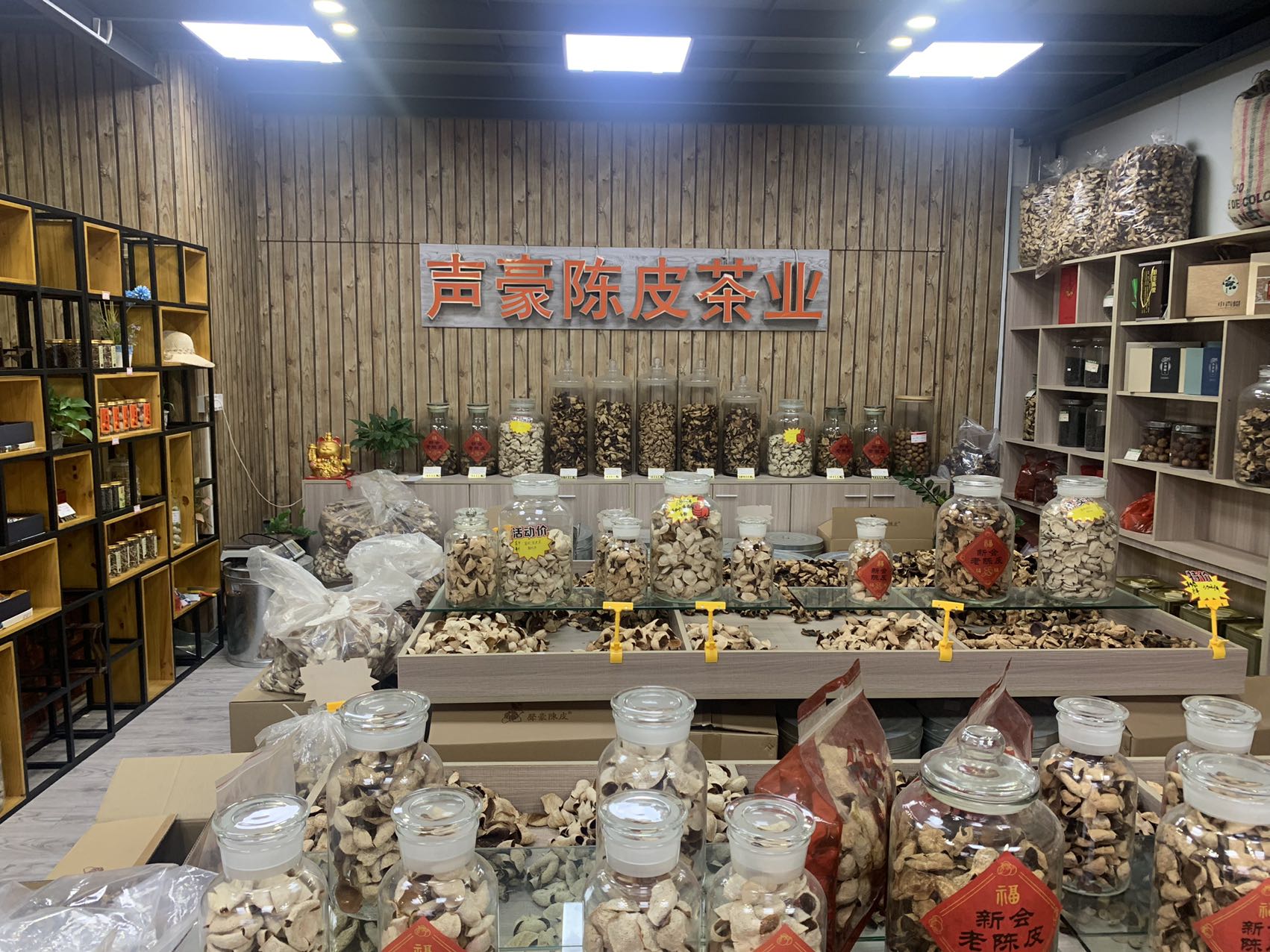 主体照片 3