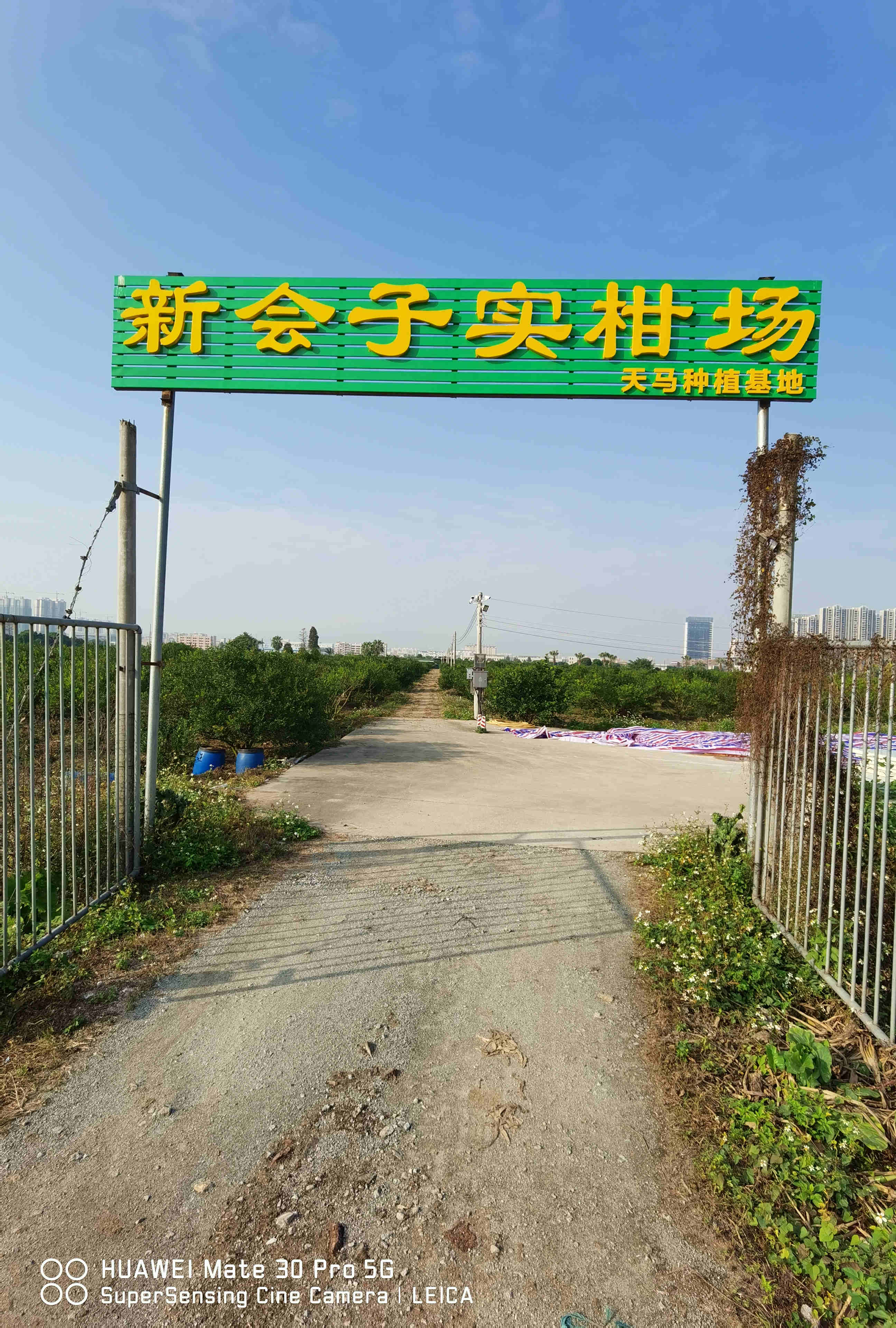 主体照片 1