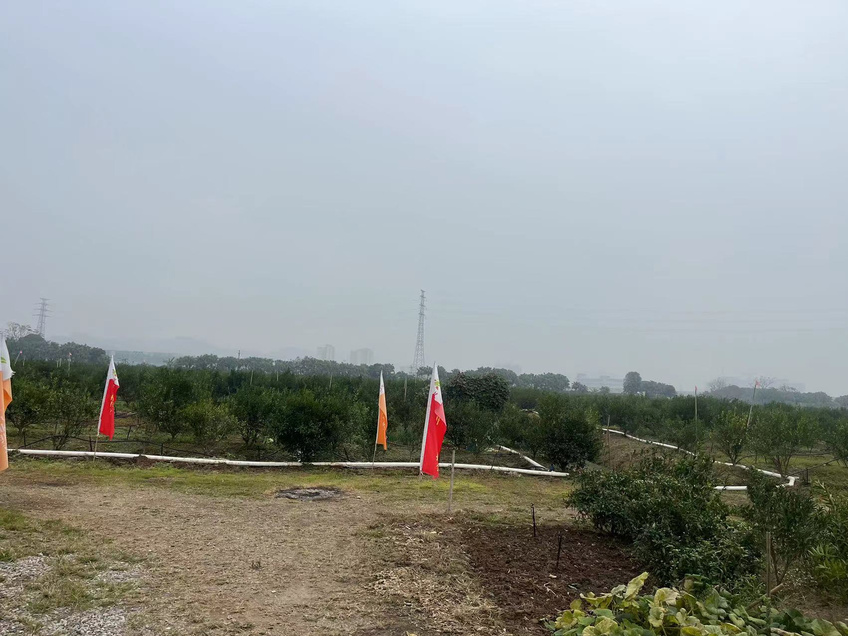 主体照片 7