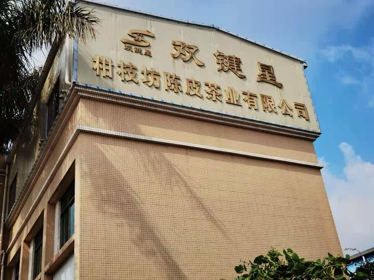 主体照片 1