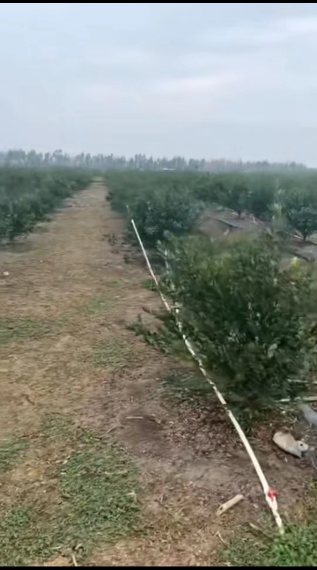 主体照片 5