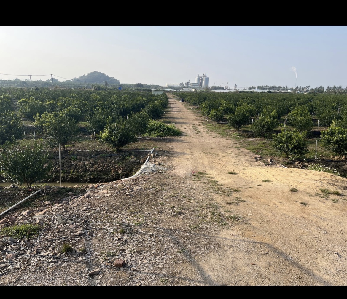 主体照片 6