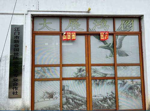 主体照片 4