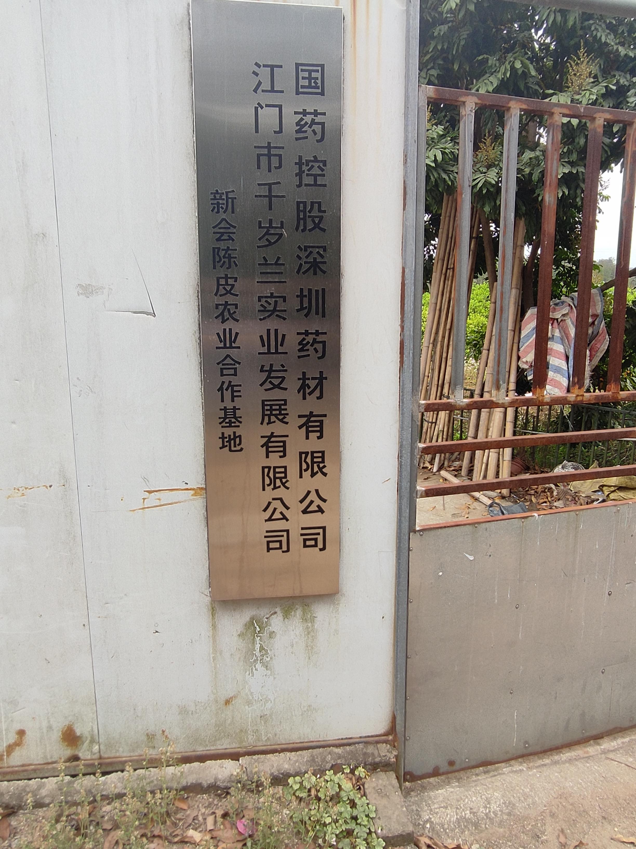 主体照片 5