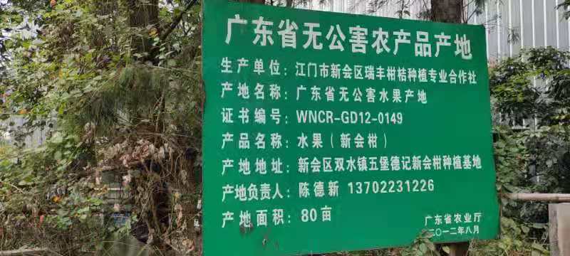 主体照片 1