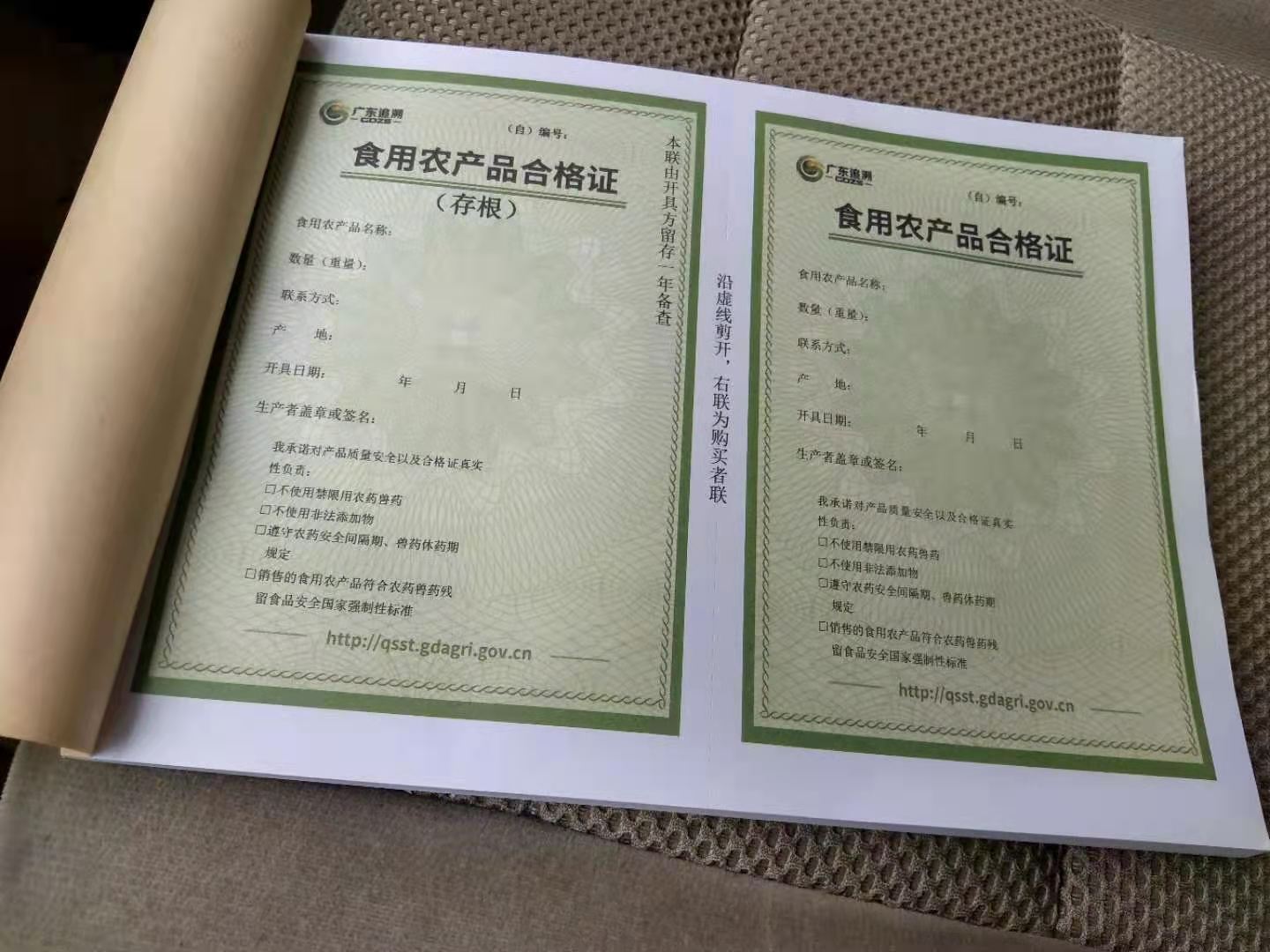 主体照片 4