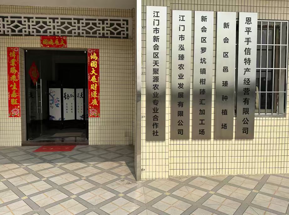 主体照片 1