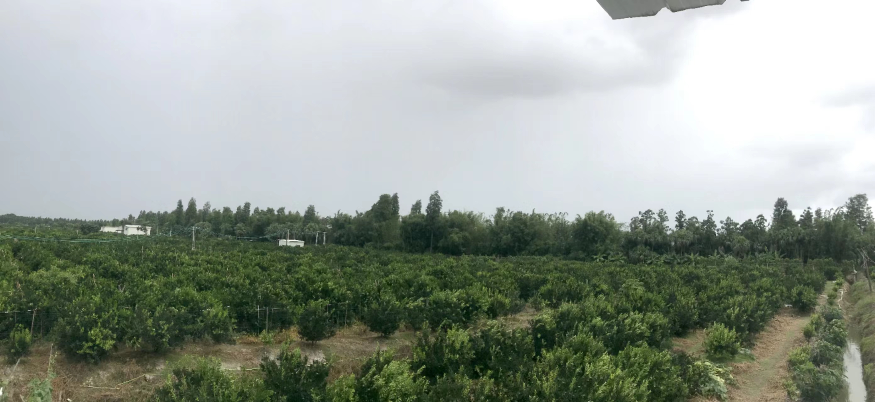 主体照片 6