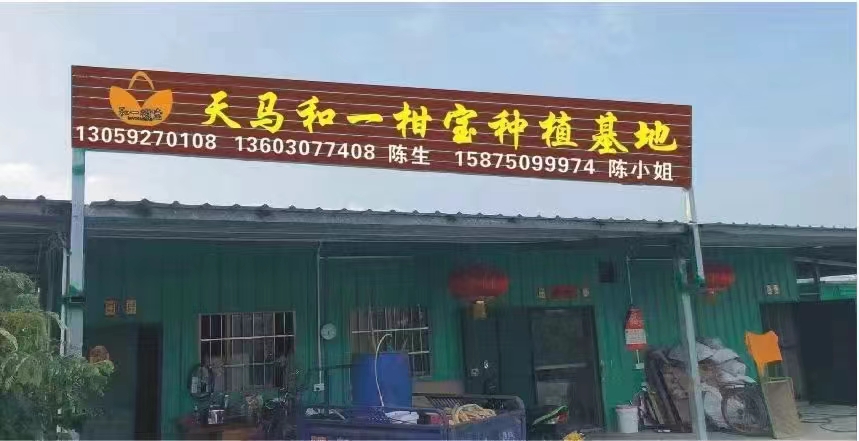 主体照片 1