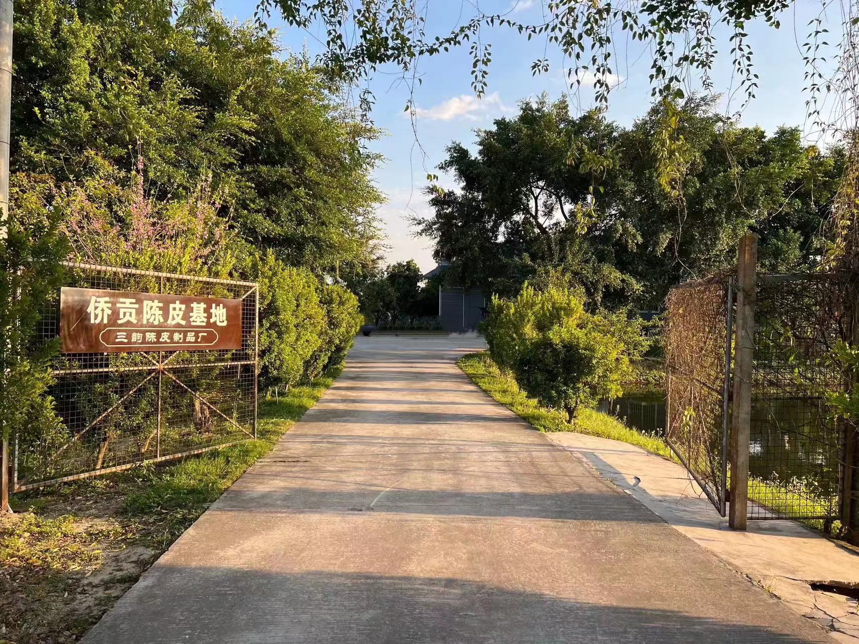 主体照片 3