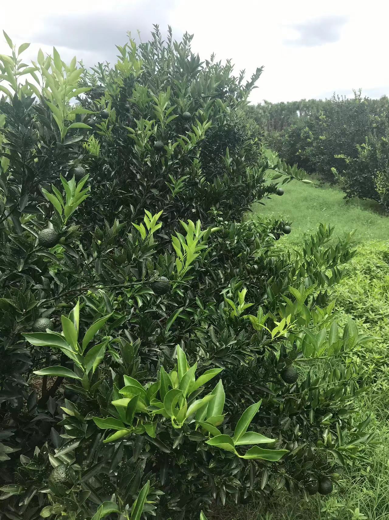 主体照片 8